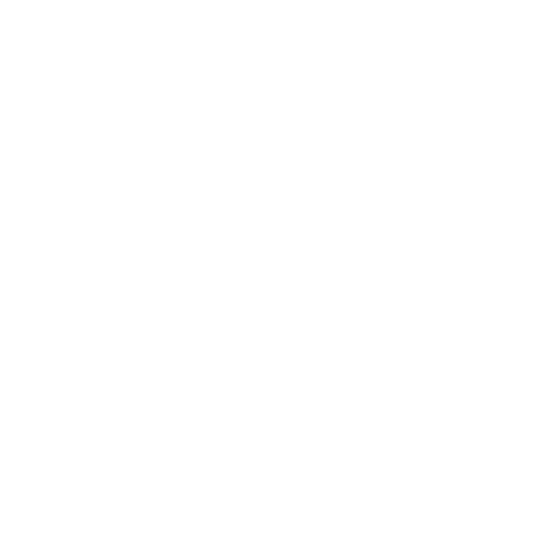 falcon.png