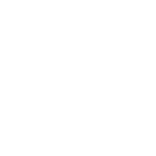 rotex.png