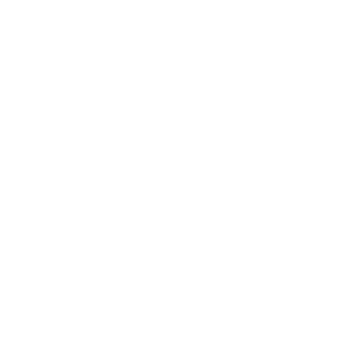 scan.png